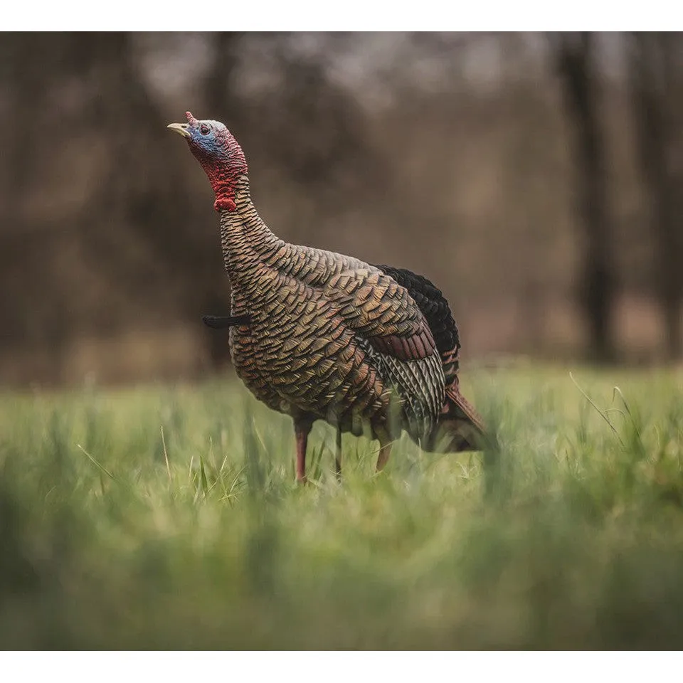 Avian AVX HDR Jake Decoy
