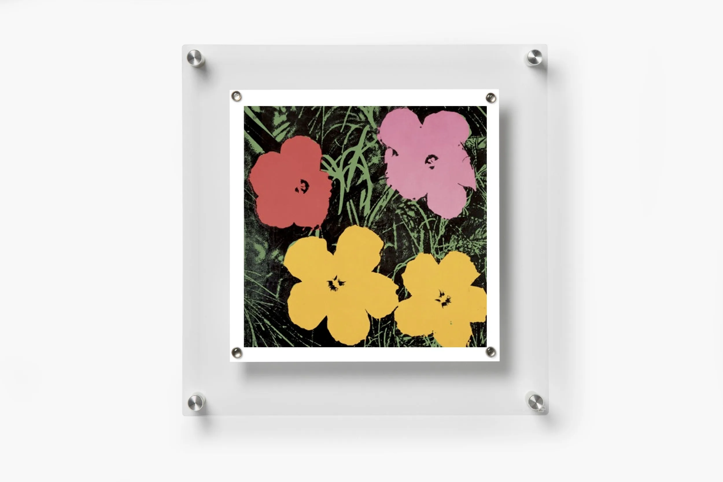 Case Pack of Five Units of 14" x 14" Changeable Wall Displays BeSquare
