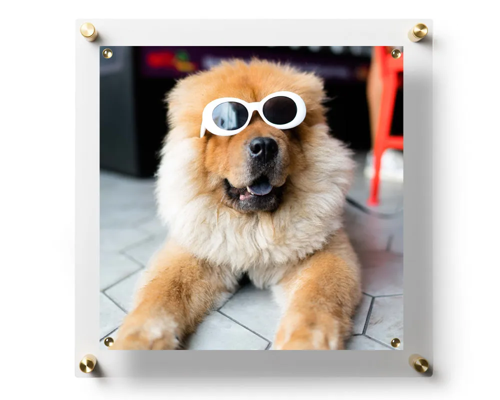 Case Pack of Five Units of 14" x 14" Changeable Wall Displays BeSquare