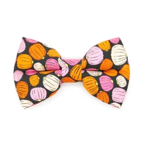 Cat Bow Tie - "Pumpkin Toss" - Orange Pink Pumpkin Bow Tie for Cat / Fall   Halloween / Cat   Small Dog Bowtie