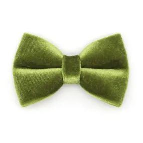 Cat Bow Tie - "Velvet - Leaf Green"  - Vibrant Olive Green Velvet Bowtie / Wedding / For Cats   Small Dogs / Removable (One Size)
