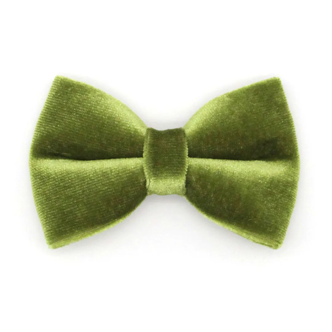 Cat Bow Tie - "Velvet - Leaf Green"  - Vibrant Olive Green Velvet Bowtie / Wedding / For Cats   Small Dogs / Removable (One Size)