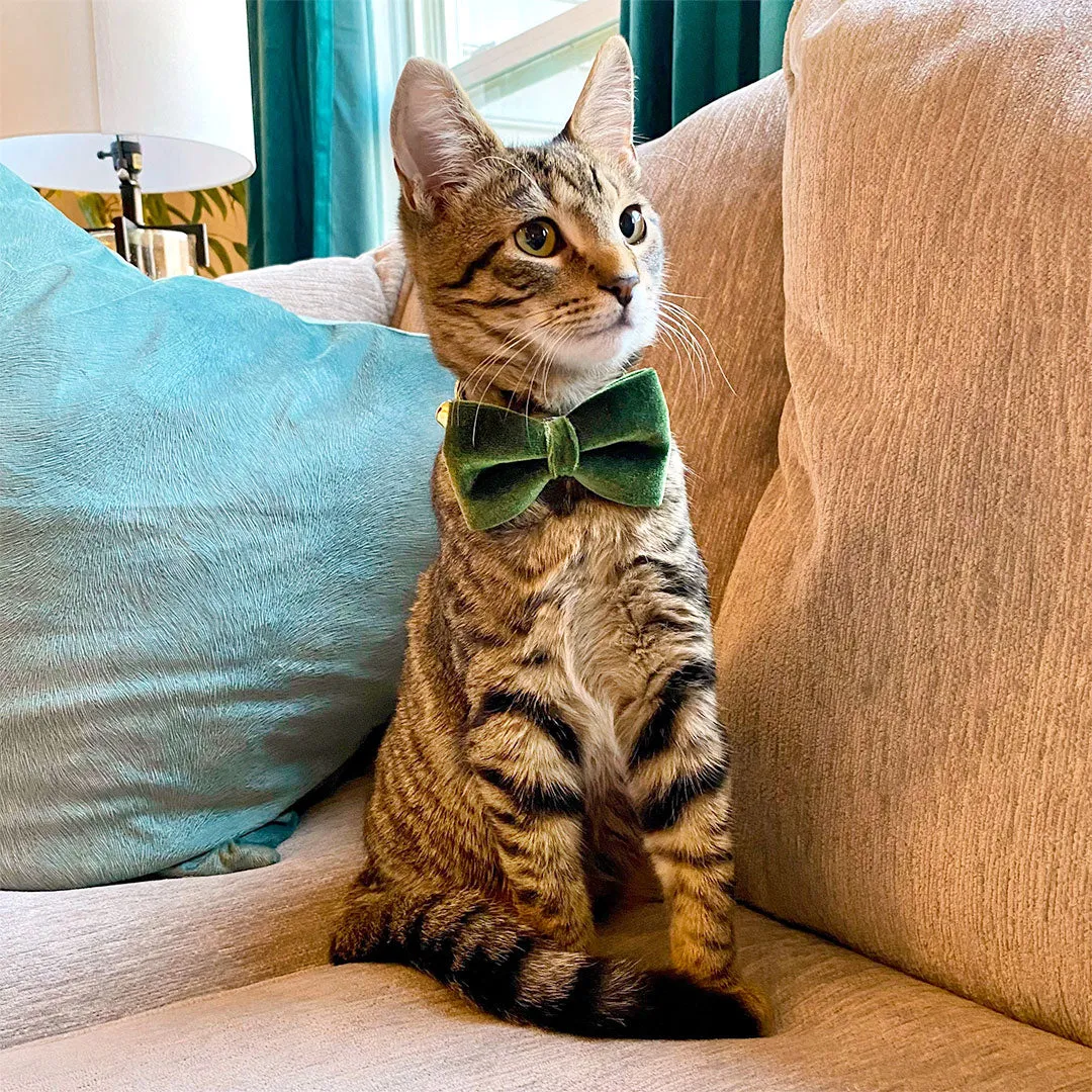 Cat Bow Tie - "Velvet - Leaf Green"  - Vibrant Olive Green Velvet Bowtie / Wedding / For Cats   Small Dogs / Removable (One Size)