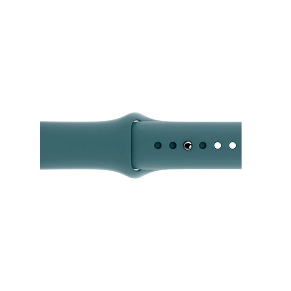 Catcus Sport Band