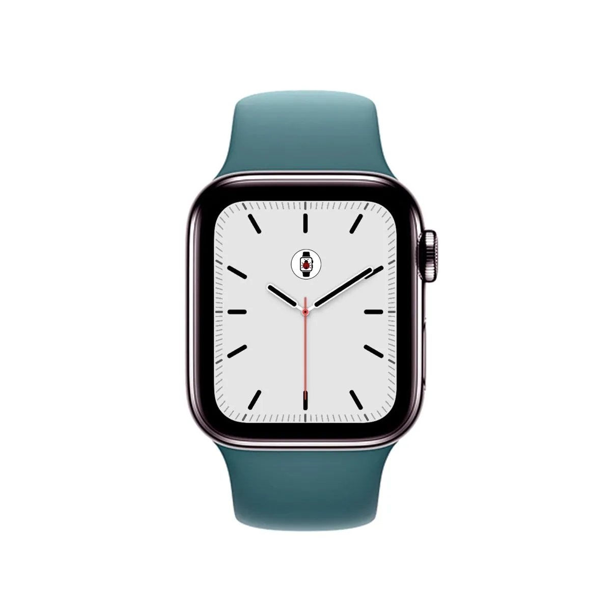 Catcus Sport Band