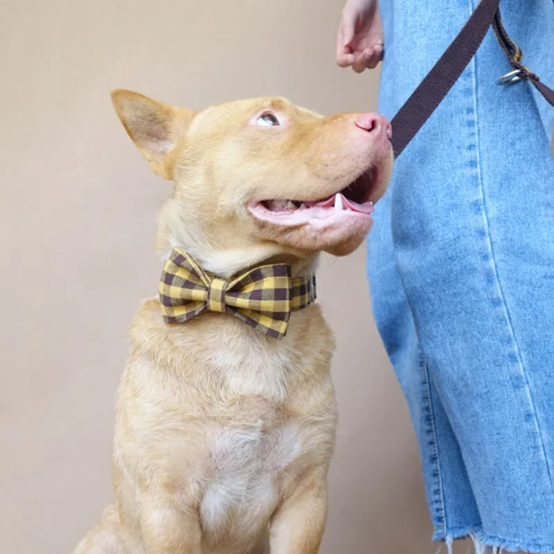 Custom Dog Collar Set with Name Engraved Metal Buckle Cute Yellow Plaid