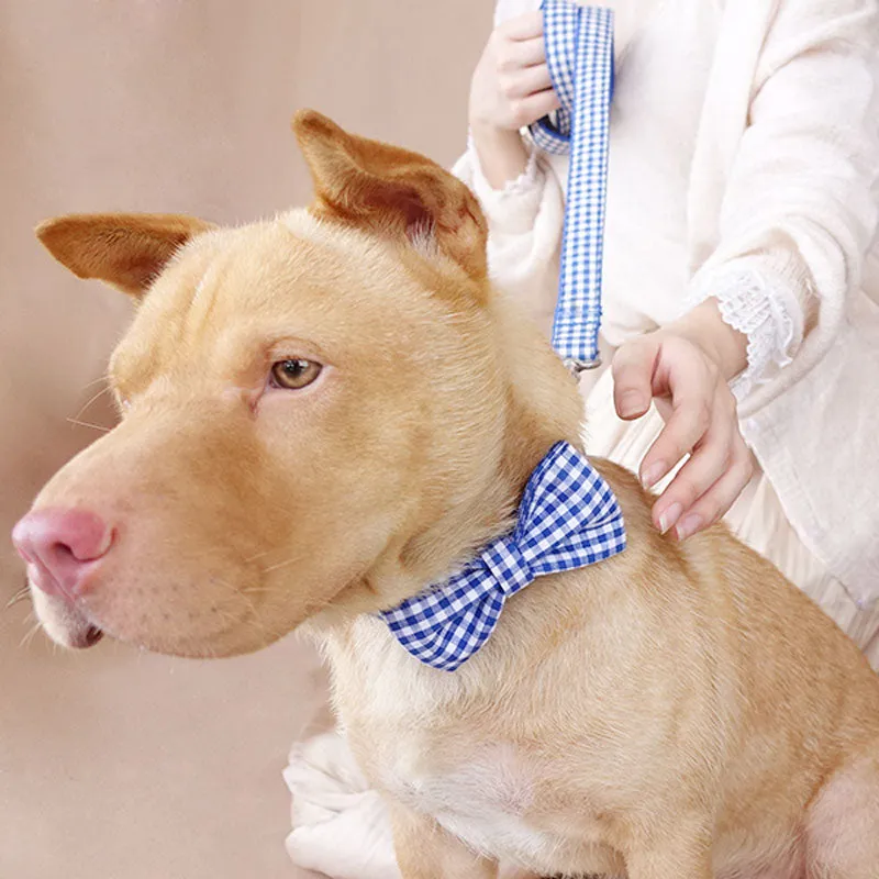 Custom Dog Collar with Matching Leash Bow Tie Blue Plaid Engraved Metal Buckle