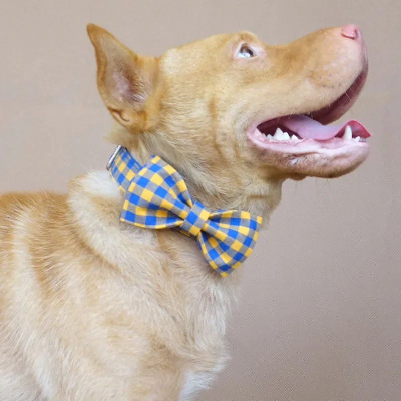 Custom Dog Collar with Name Engraved Metal Buckle Cute Leash Bow Tie Blue Plaid