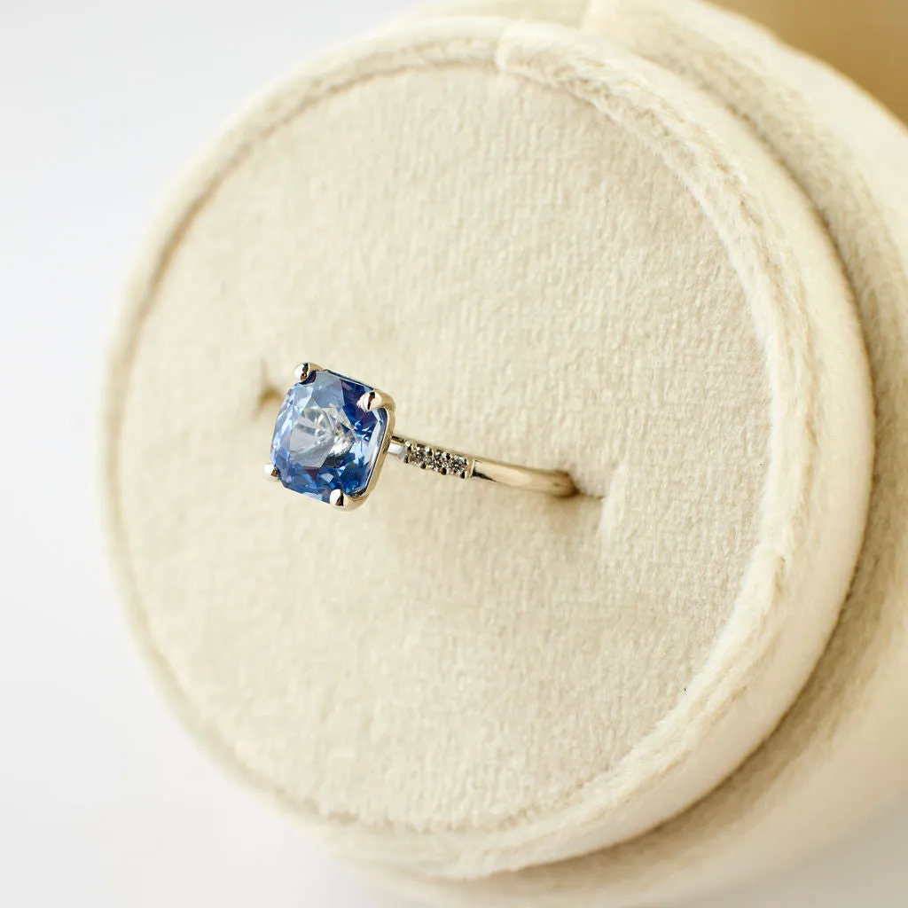 Customizable Ashia Setting