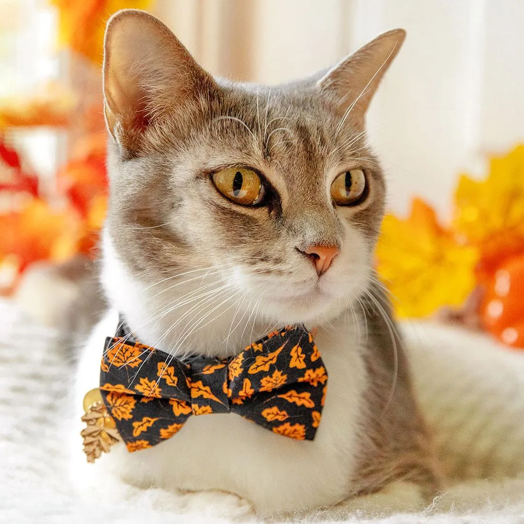 Fall Cat Bow Tie - "Autumn Night" - Maple Leaf Black Orange Bow Tie for Cat / Halloween / Cat   Small Dog Bowtie