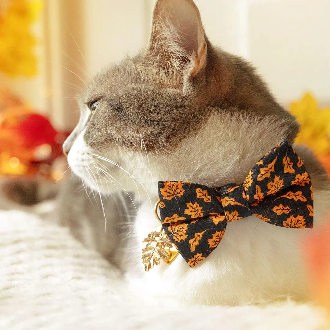 Fall Cat Bow Tie - "Autumn Night" - Maple Leaf Black Orange Bow Tie for Cat / Halloween / Cat   Small Dog Bowtie