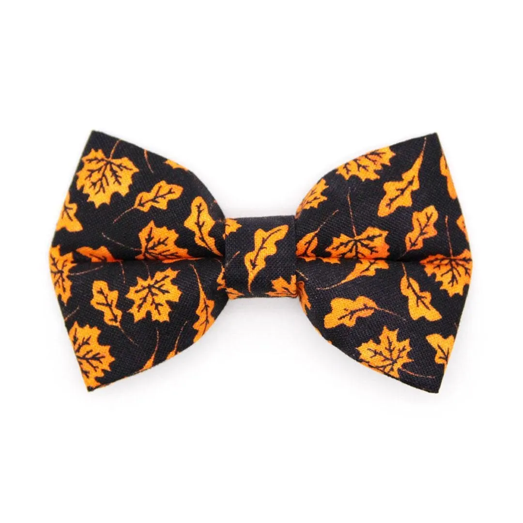 Fall Cat Bow Tie - "Autumn Night" - Maple Leaf Black Orange Bow Tie for Cat / Halloween / Cat   Small Dog Bowtie