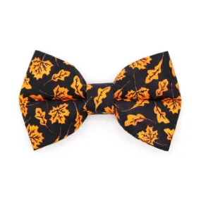 Fall Cat Bow Tie - "Autumn Night" - Maple Leaf Black Orange Bow Tie for Cat / Halloween / Cat   Small Dog Bowtie