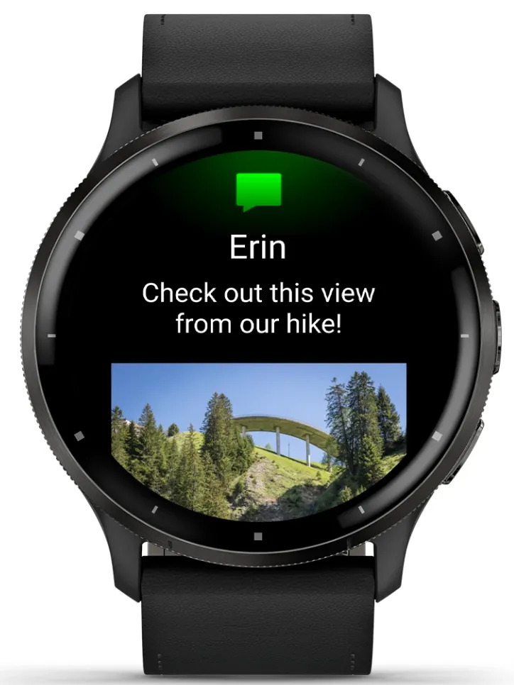 Garmin Venu 3 Slate Smartwatch