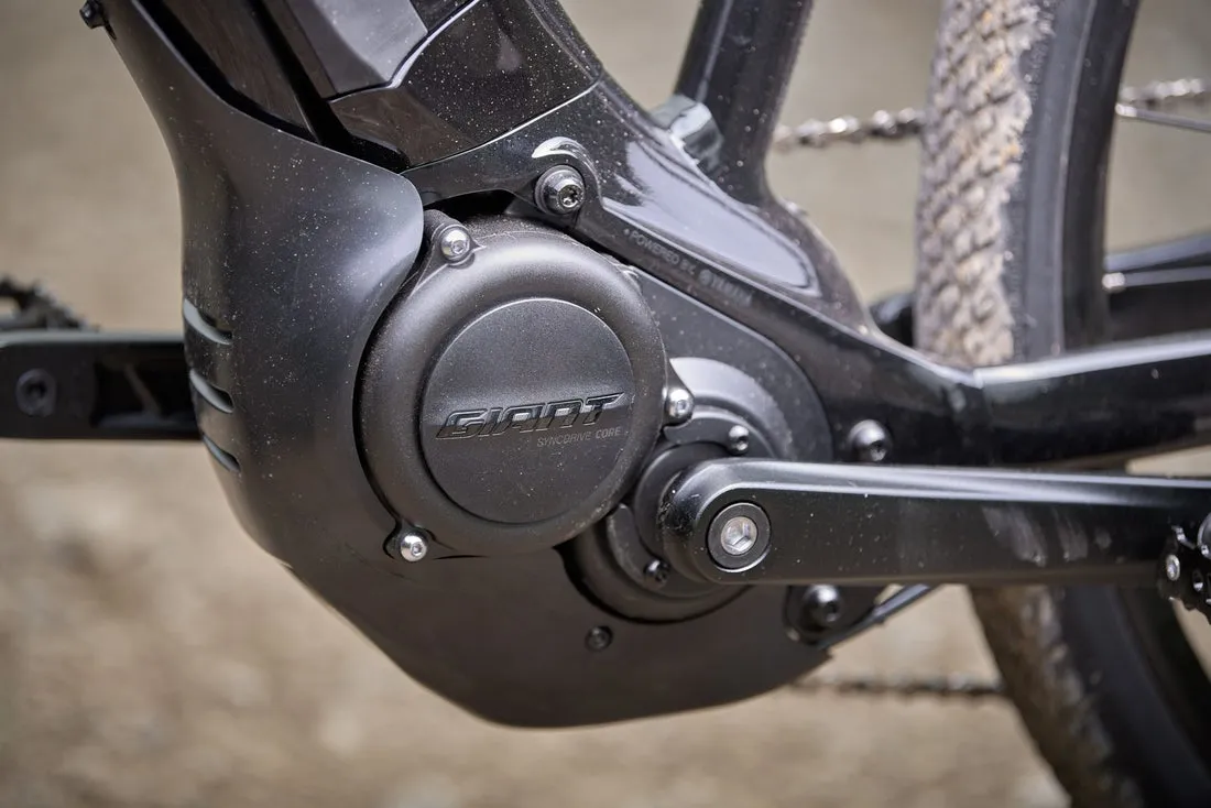 Giant Roam E  GTS Black