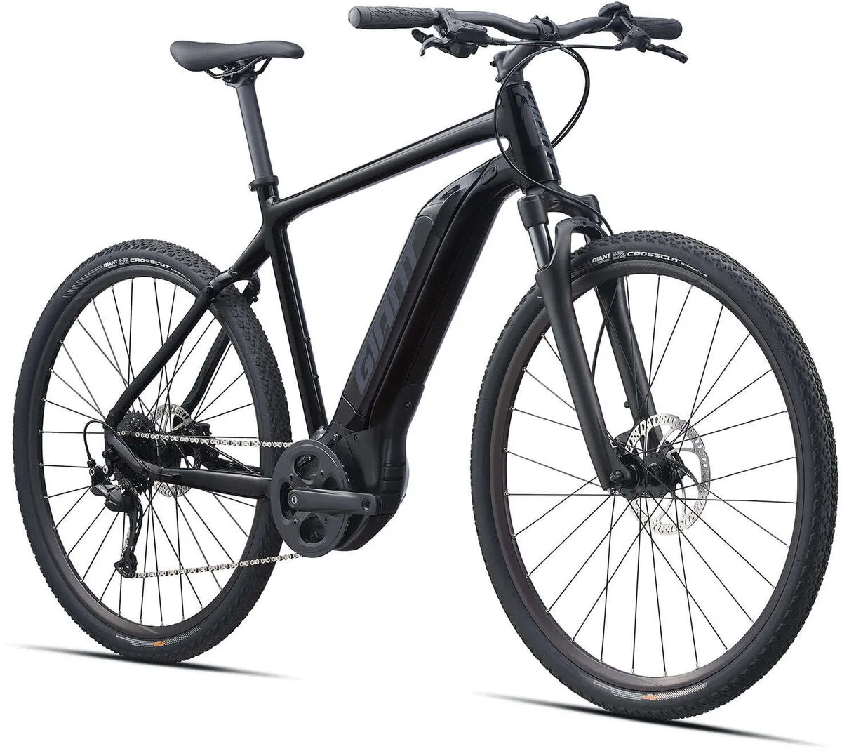 Giant Roam E  GTS Black