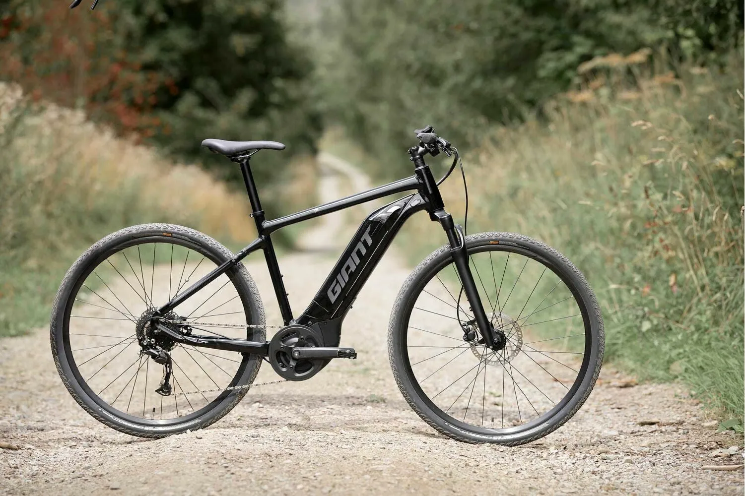 Giant Roam E  GTS Black