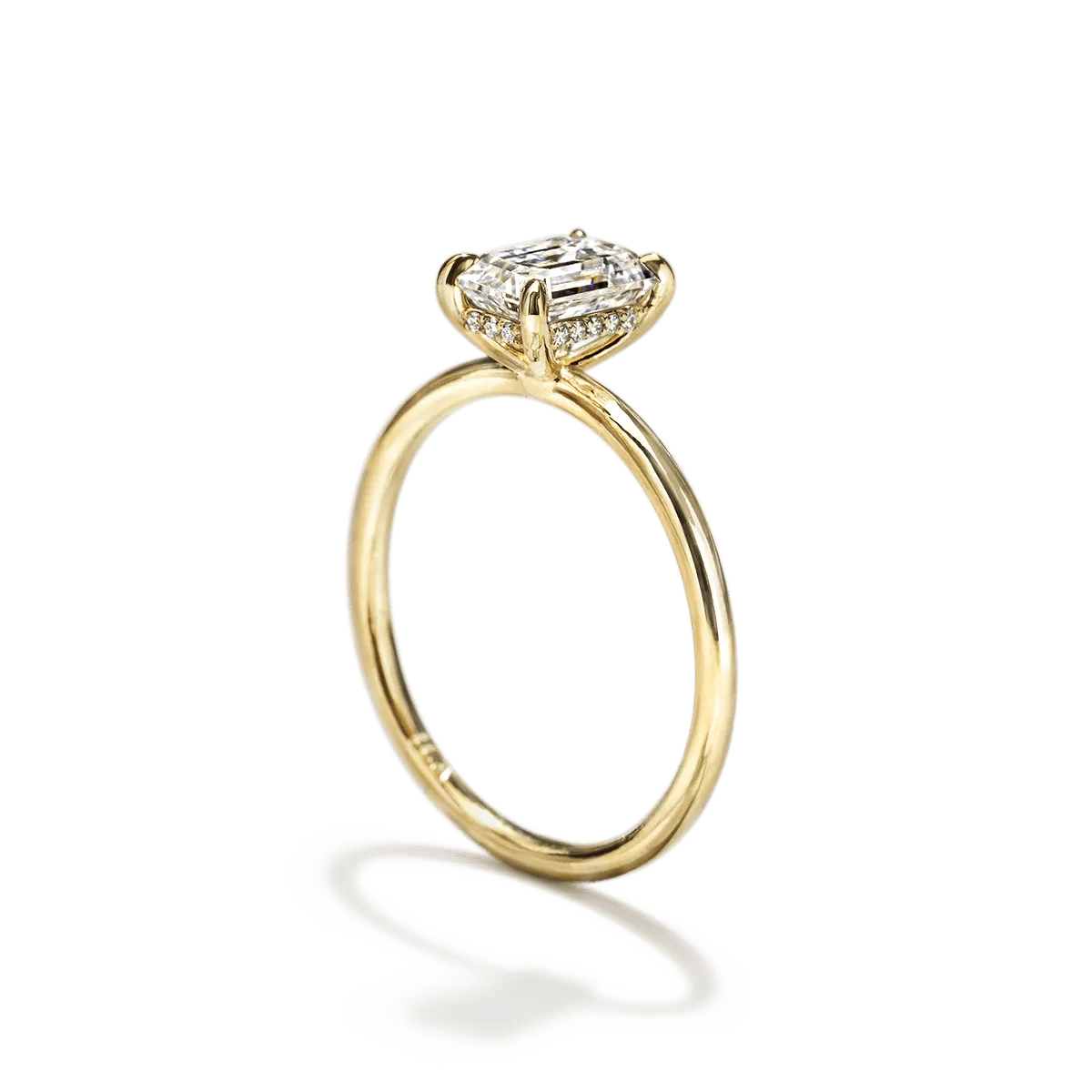 Hidden Halo Engagement Ring