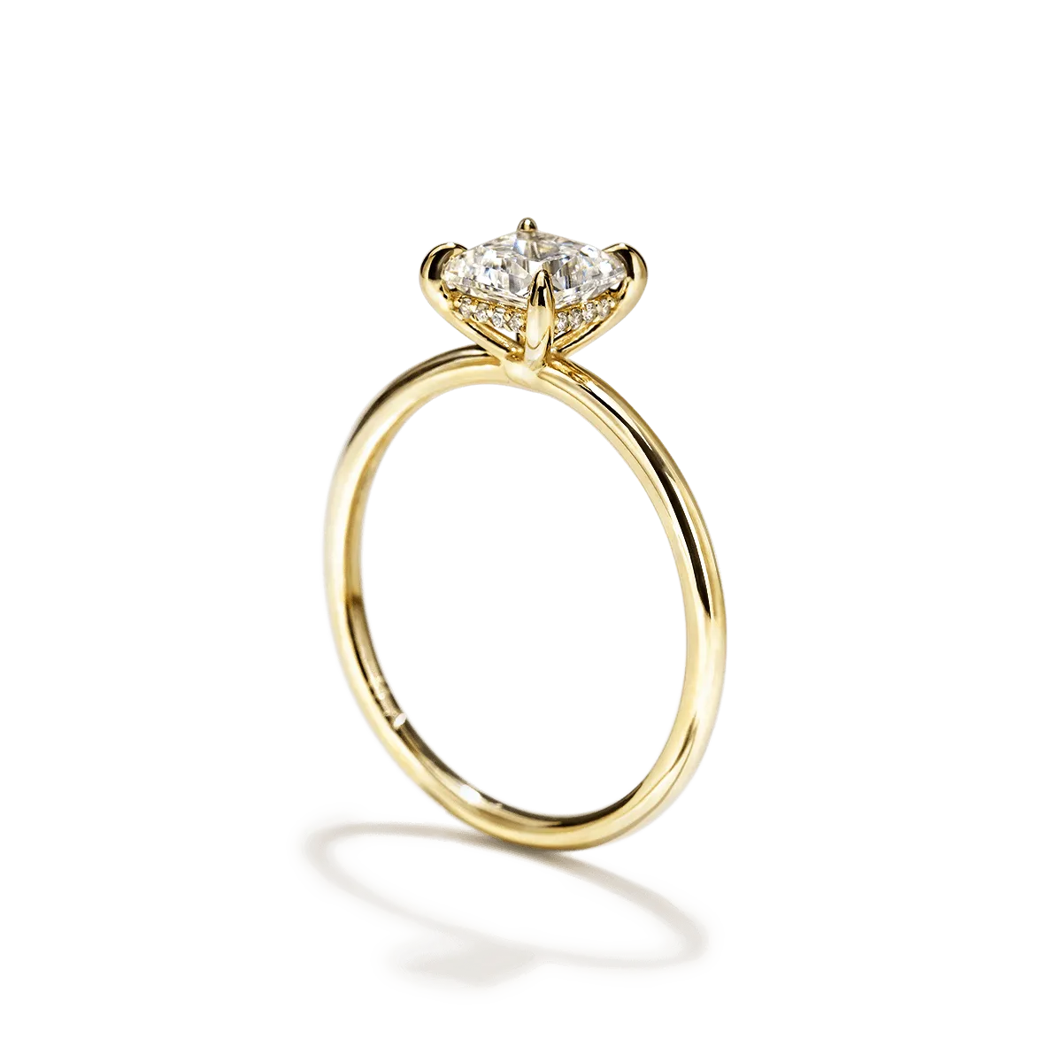 Hidden Halo Engagement Ring