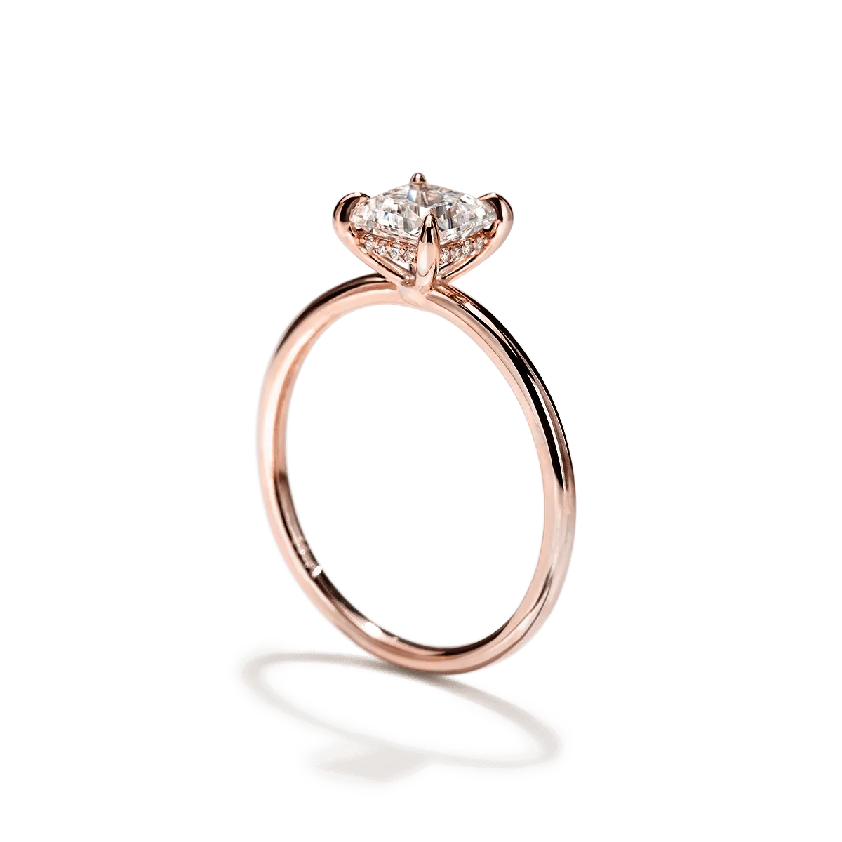 Hidden Halo Engagement Ring