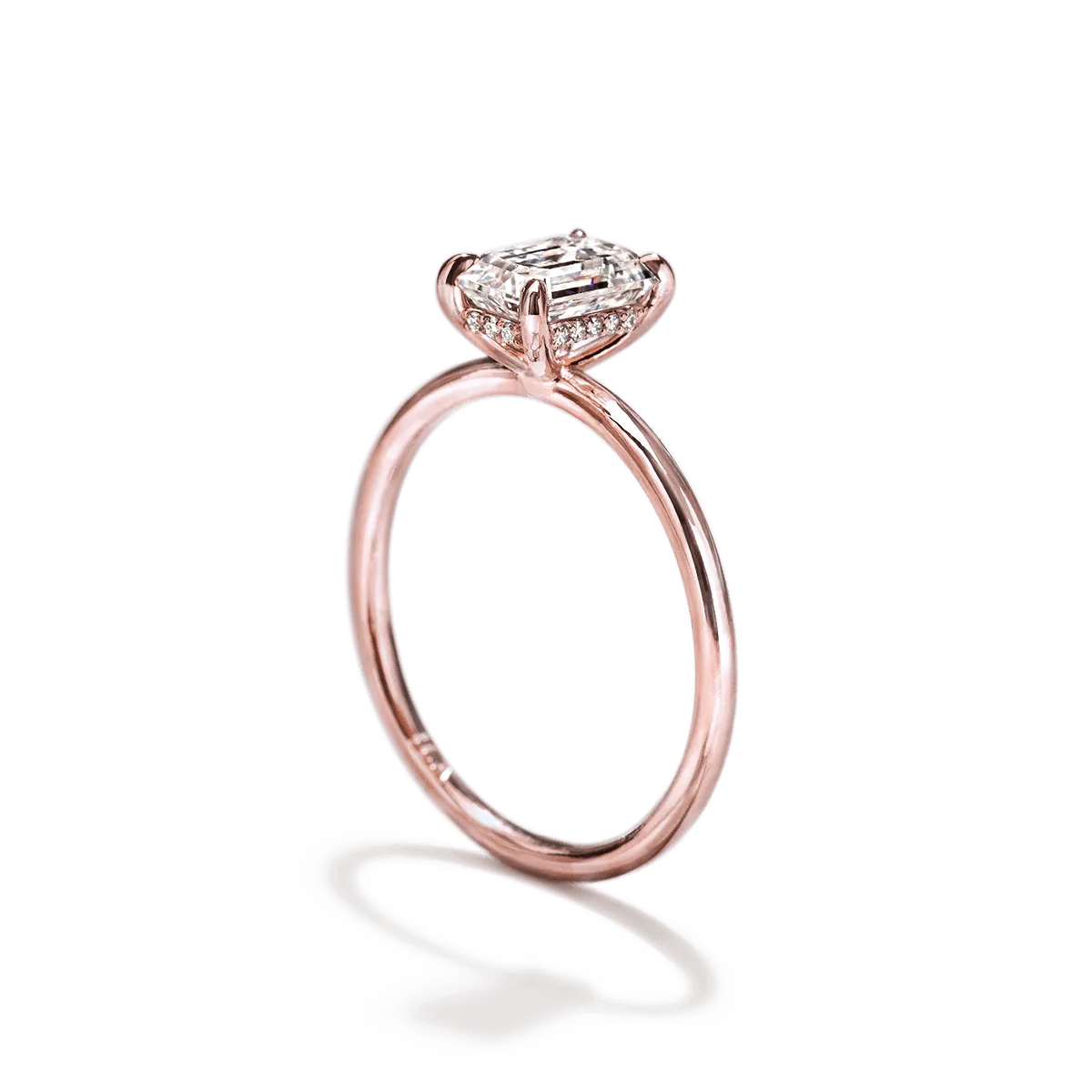 Hidden Halo Engagement Ring