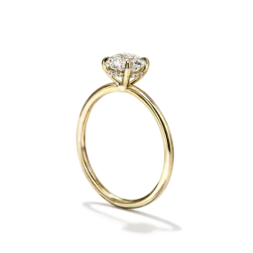 Hidden Halo Engagement Ring