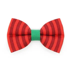 Holiday Cat Bow Tie - "Festive Cranberry" - Red Candy Striped Christmas Bow Tie for Cat / Dr. Seuss Vibes / Cat   Small Dog Bowtie