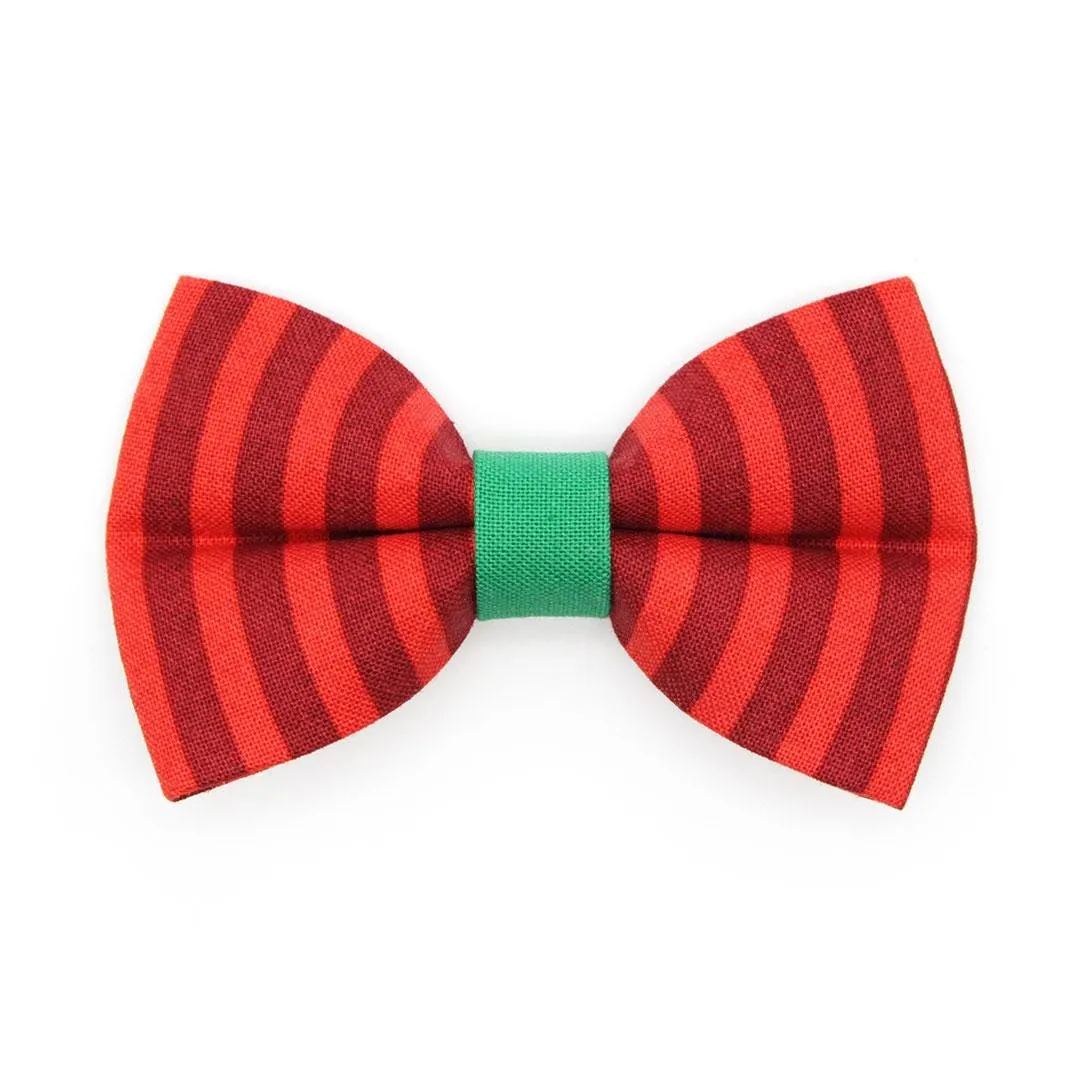 Holiday Cat Bow Tie - "Festive Cranberry" - Red Candy Striped Christmas Bow Tie for Cat / Dr. Seuss Vibes / Cat   Small Dog Bowtie