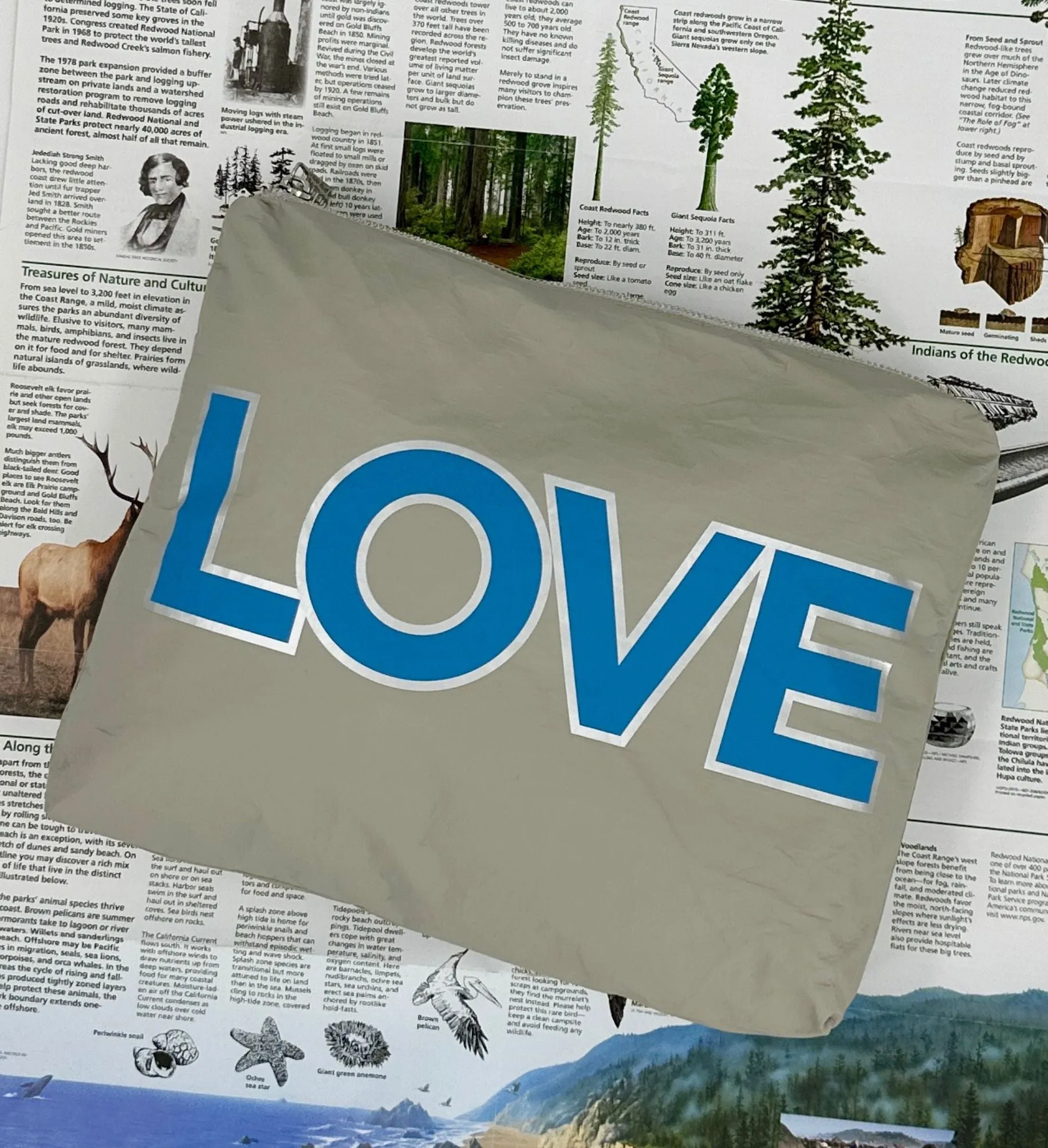 Medium Zipper Pack - Double LOVE in Earth Gray and Sky Blue