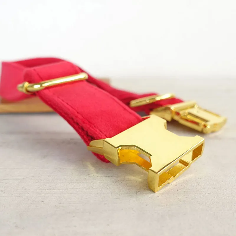 Personalized Dog Collar Set Engraved Bright Gold Buckle Red Velvet