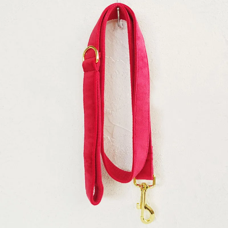 Personalized Dog Collar Set Engraved Bright Gold Buckle Red Velvet