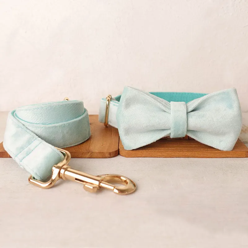 Personalized Dog Collar Set Engraved Gold Buckle Mint Blue Velvet