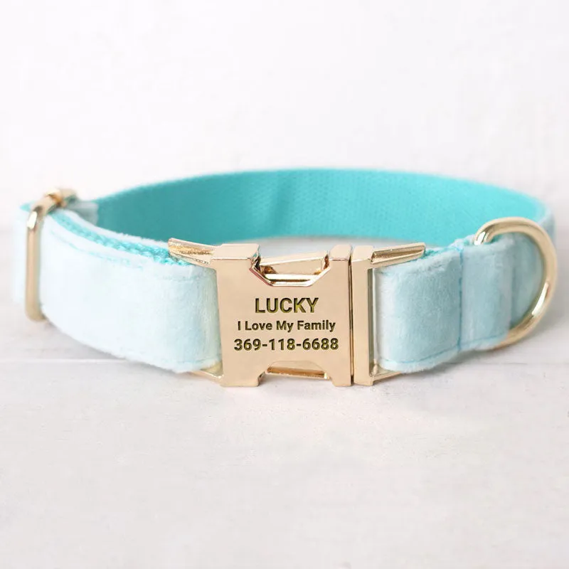 Personalized Dog Collar Set Engraved Gold Buckle Mint Blue Velvet