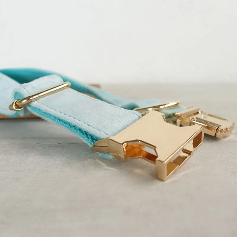 Personalized Dog Collar Set Engraved Gold Buckle Mint Blue Velvet
