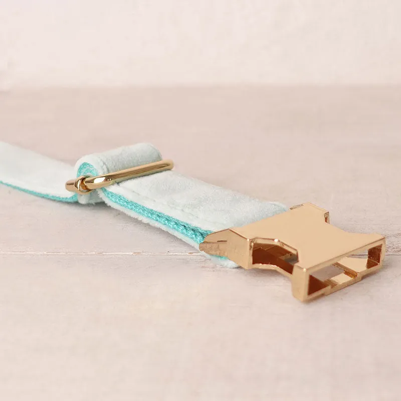 Personalized Dog Collar Set Engraved Gold Buckle Mint Blue Velvet