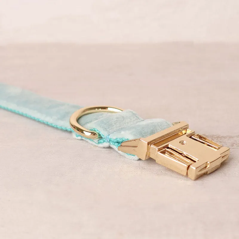 Personalized Dog Collar Set Engraved Gold Buckle Mint Blue Velvet