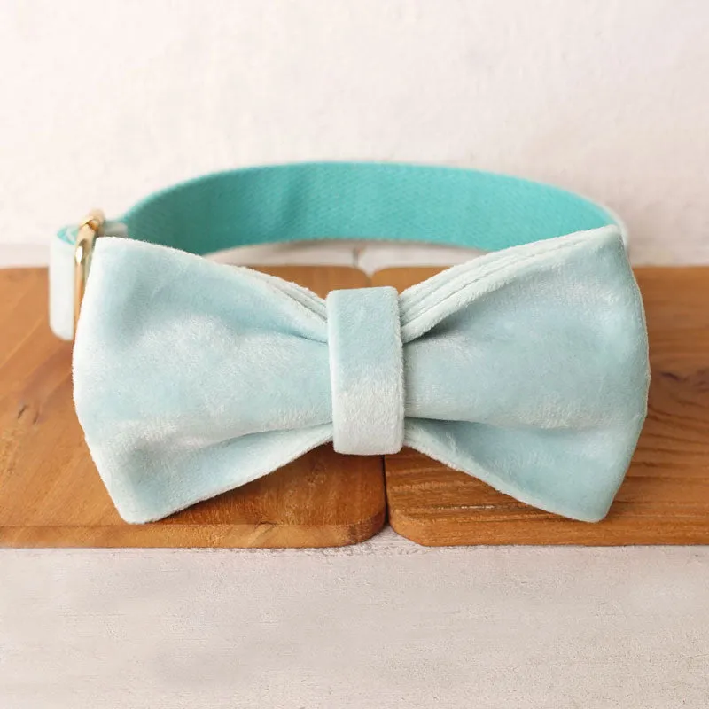 Personalized Dog Collar Set Engraved Gold Buckle Mint Blue Velvet