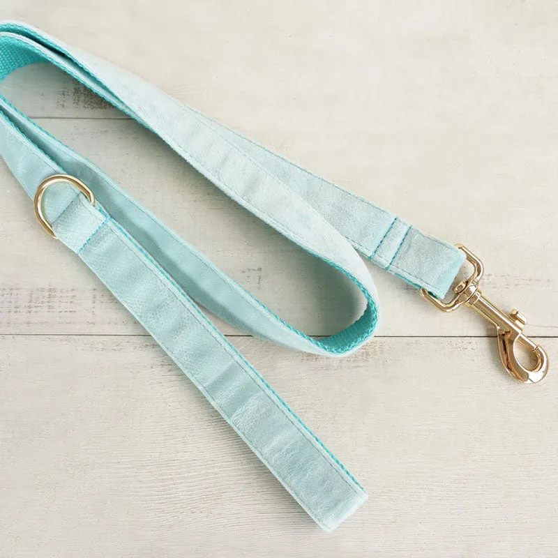 Personalized Dog Collar Set Engraved Gold Buckle Mint Blue Velvet