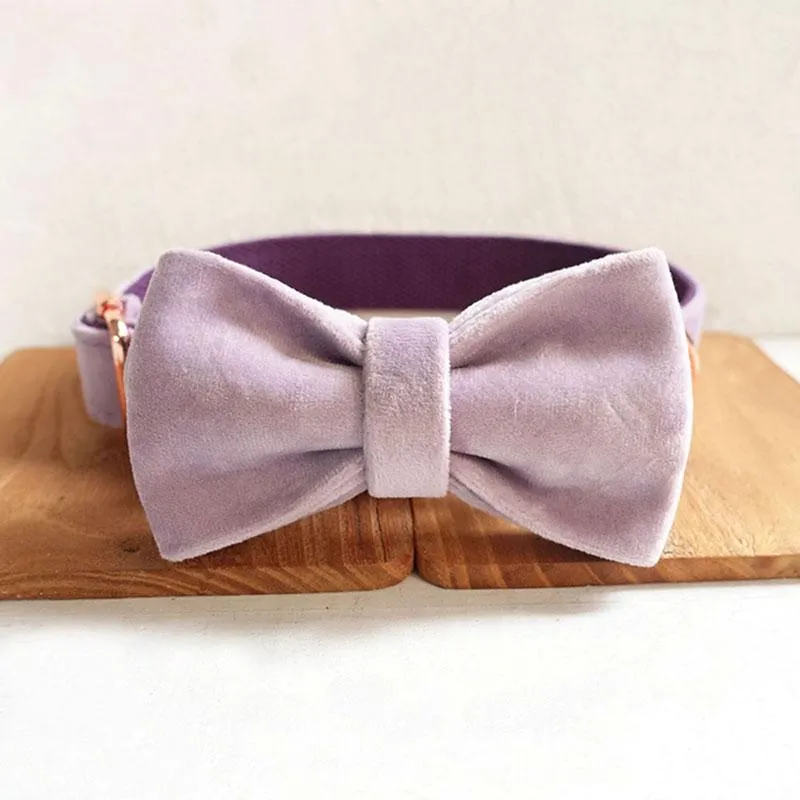 Personalized Dog Collar Set Engraved Rose Gold Buckle Light  Purple Velvet
