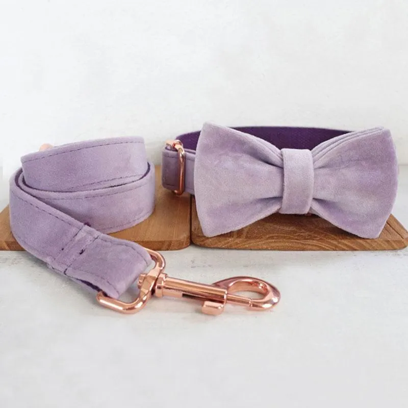 Personalized Dog Collar Set Engraved Rose Gold Buckle Light  Purple Velvet