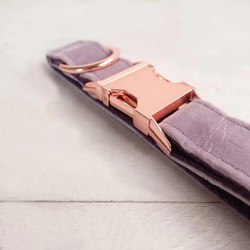 Personalized Dog Collar Set Engraved Rose Gold Buckle Light  Purple Velvet