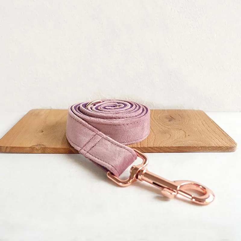 Personalized Dog Collar Set Engraved Rose Gold Buckle Pink Purple Velvet