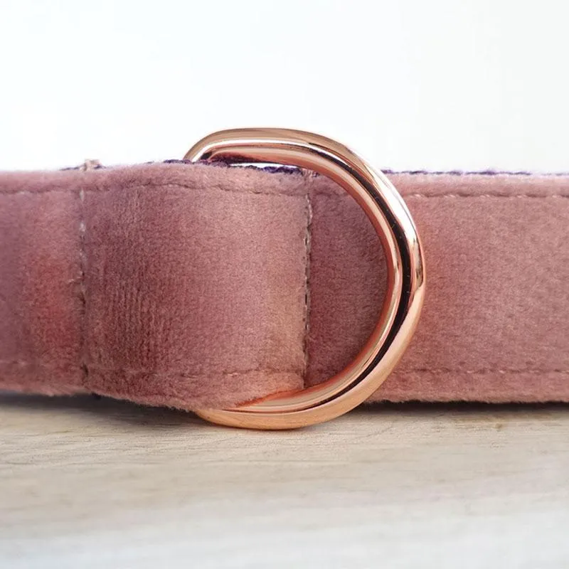 Personalized Dog Collar Set Engraved Rose Gold Buckle Pink Purple Velvet