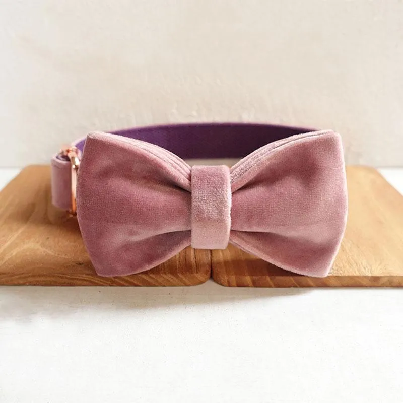 Personalized Dog Collar Set Engraved Rose Gold Buckle Pink Purple Velvet