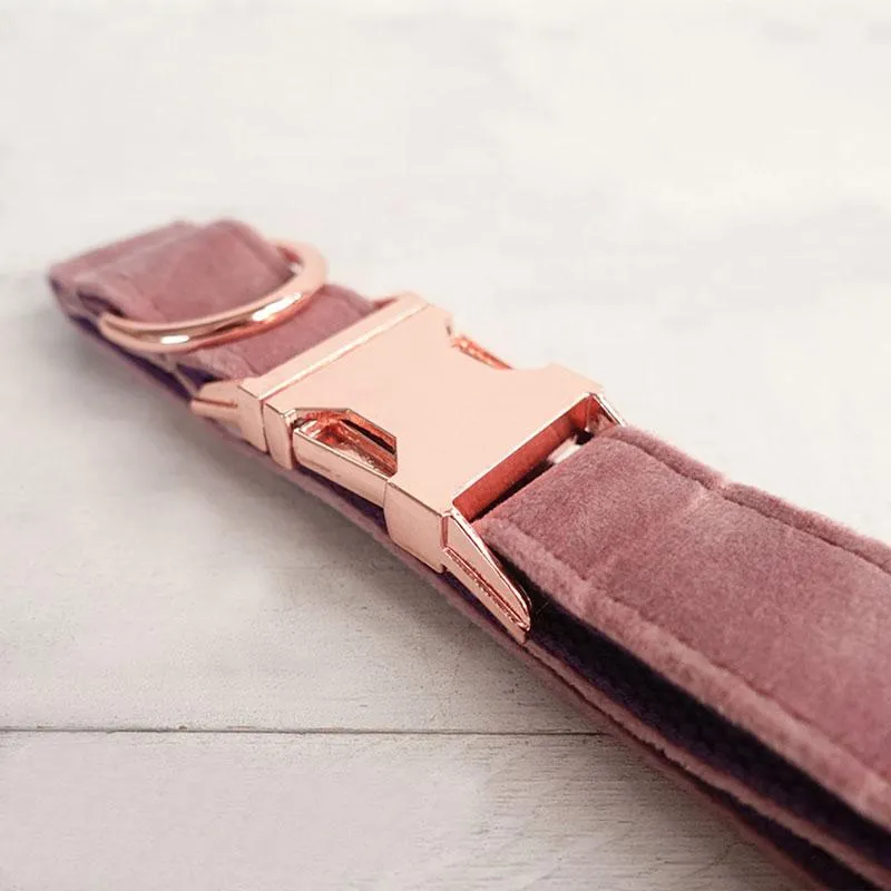 Personalized Dog Collar Set Engraved Rose Gold Buckle Pink Purple Velvet