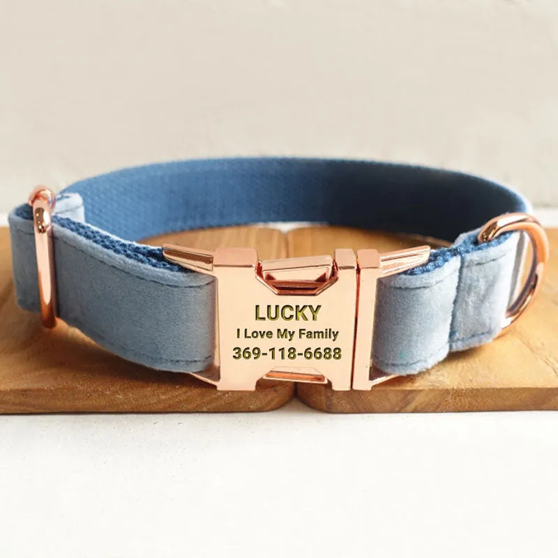 Personalized Dog Collar Set Engraved Rose Gold Buckle Queen Blue Velvet