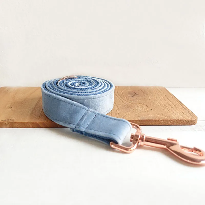 Personalized Dog Collar Set Engraved Rose Gold Buckle Queen Blue Velvet