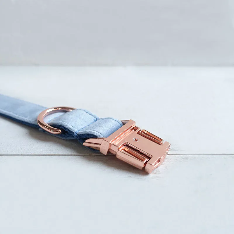 Personalized Dog Collar Set Engraved Rose Gold Buckle Queen Blue Velvet
