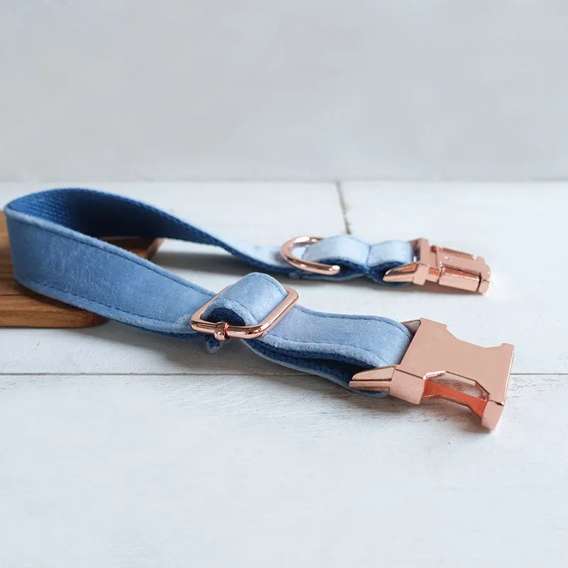 Personalized Dog Collar Set Engraved Rose Gold Buckle Queen Blue Velvet