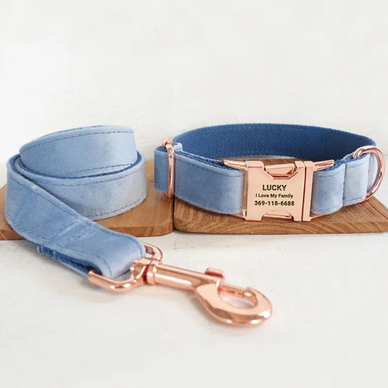 Personalized Dog Collar Set Engraved Rose Gold Buckle Queen Blue Velvet